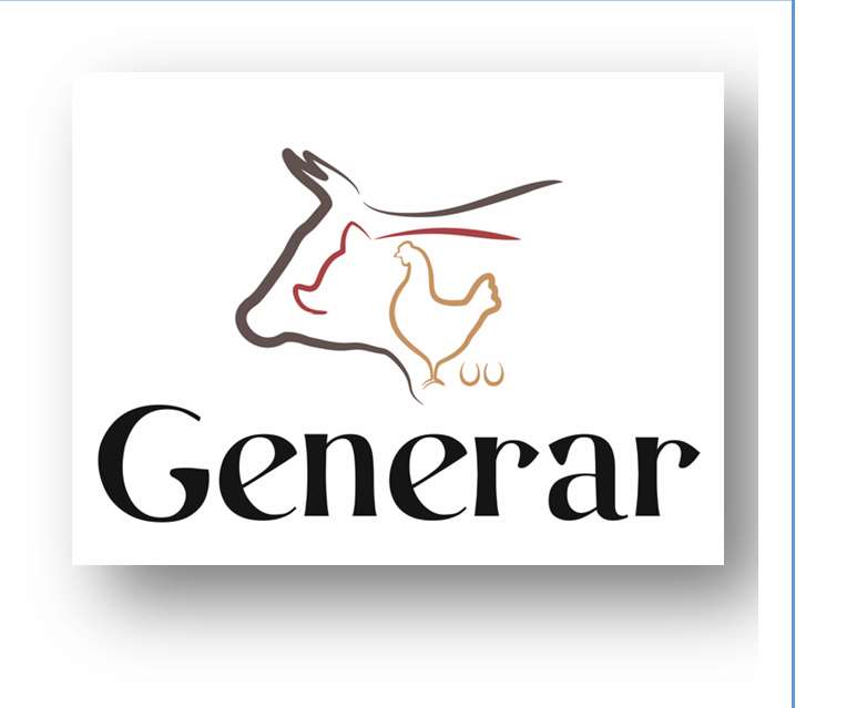 Presidente de Generar S.A.